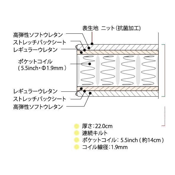 シモンズのＢＳ レギュラー（5.5インチ）｜ベッド専門店グースカ